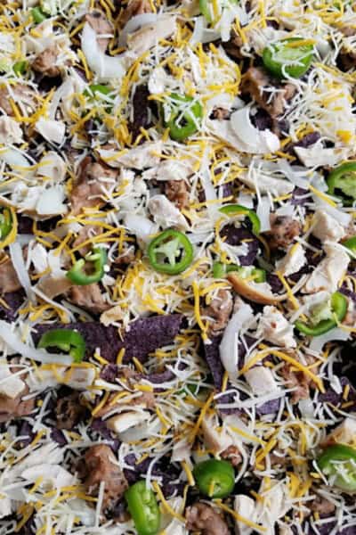 Trashy Customizable Nachos